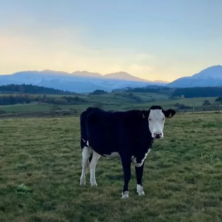 Chez Vince Le Vernet-Sainte-Marguerite